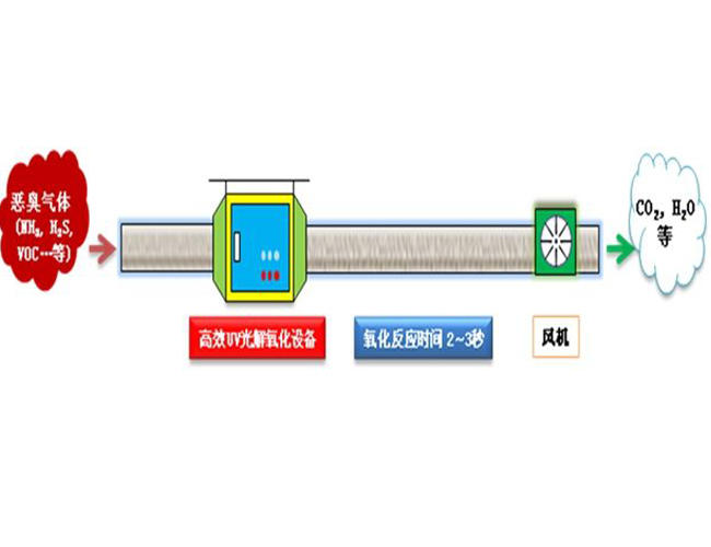 荫蒂被男人添A片视频